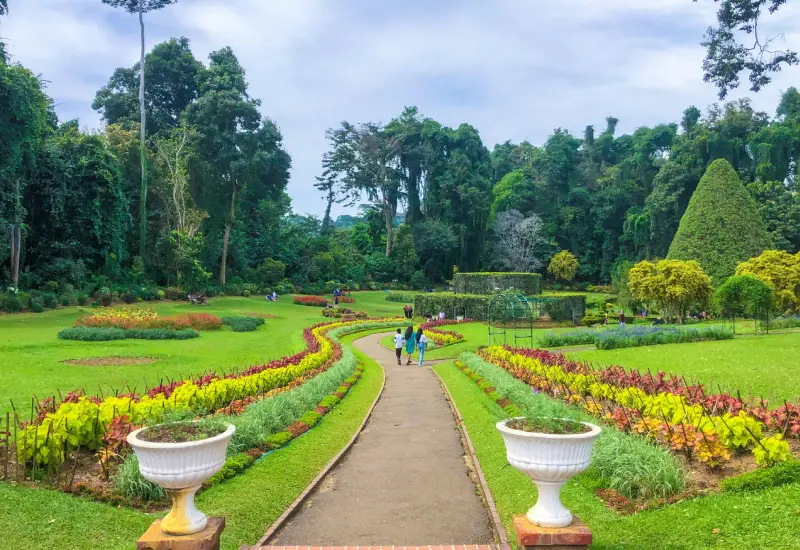 Peradeniya Gardens & Tea Estates